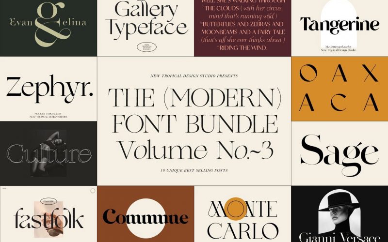 Typography Modern Fonts Bundle Vol.3 by Agnes Ershova